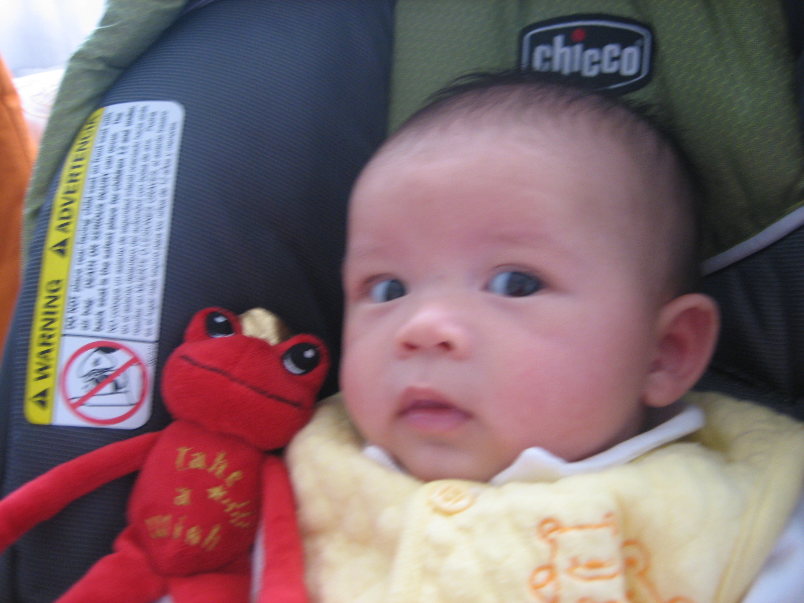 PICTSc 058